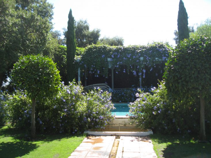 diseño jardin Marbella