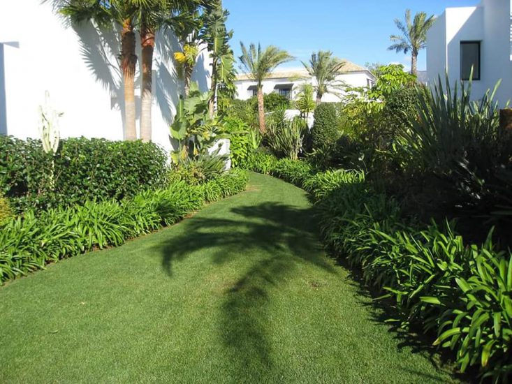 jardin plantas