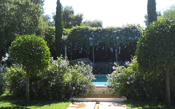 diseño de un jardín
