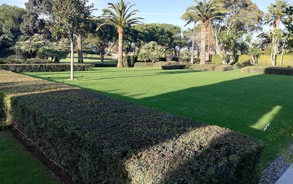 mantenimiento jardín