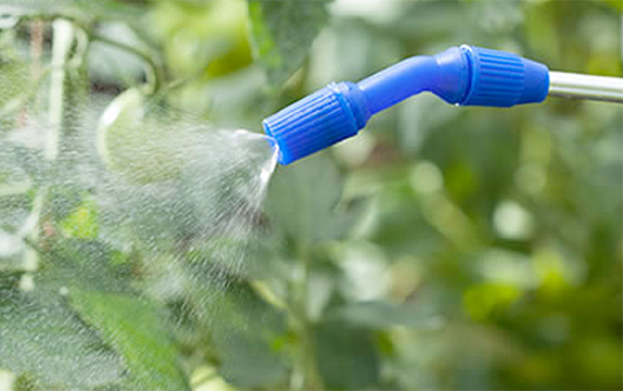  tratamiento jardín