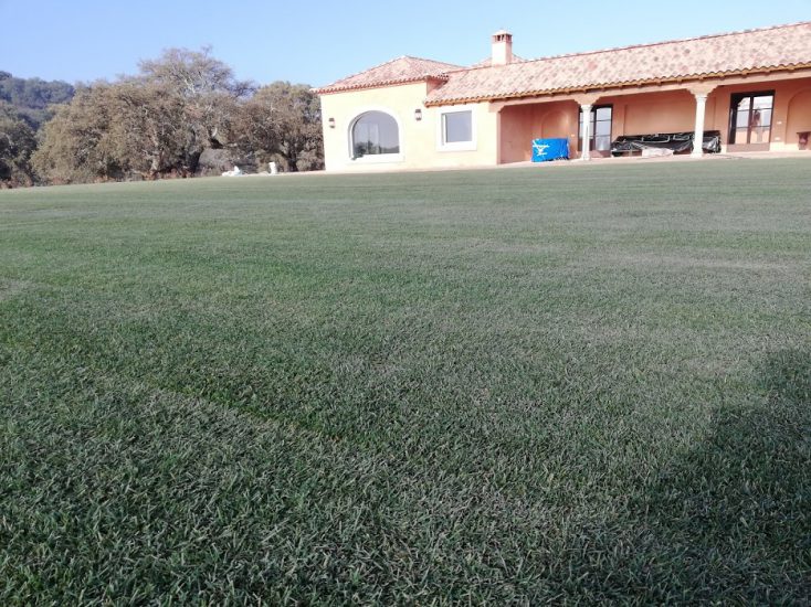 Campo de cricket Palencia