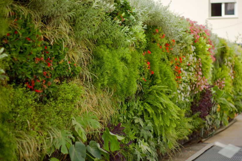 jardin vertical con plantas