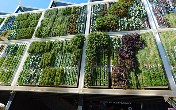 jardin vertical
