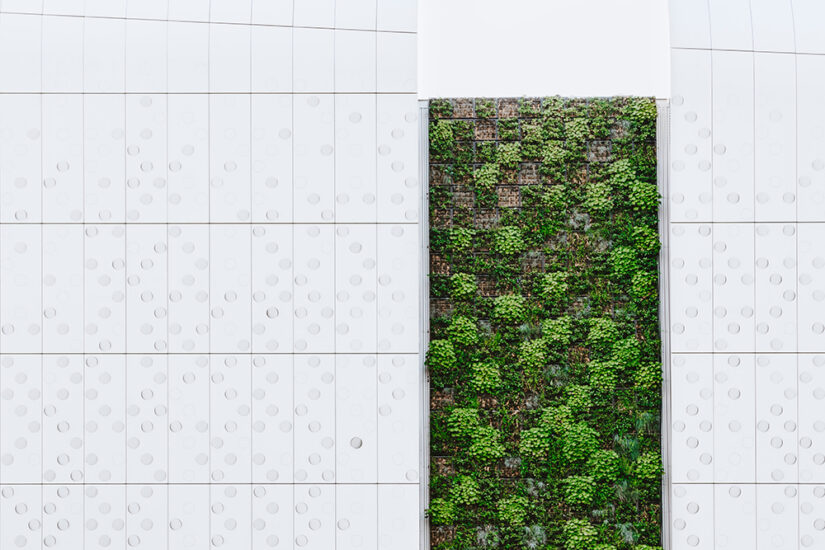 jardin vertical con plantas