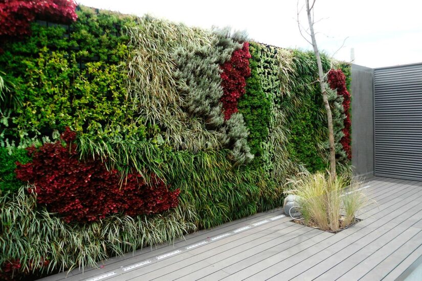 jardin vertical con plantas