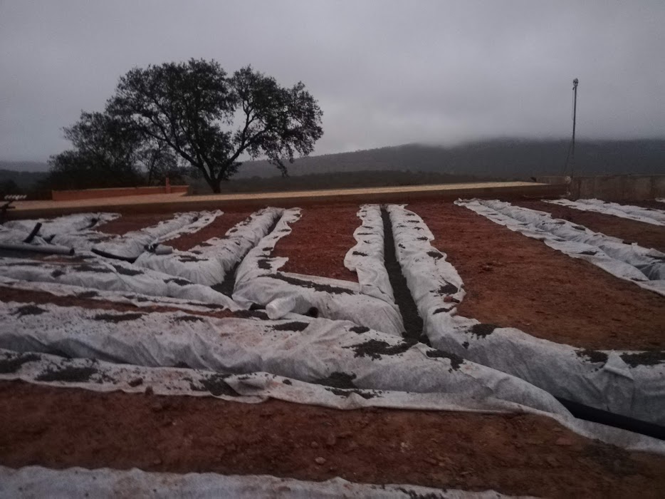 Instalación del Campo de cricket de Palencia