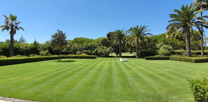 construccion de jardines