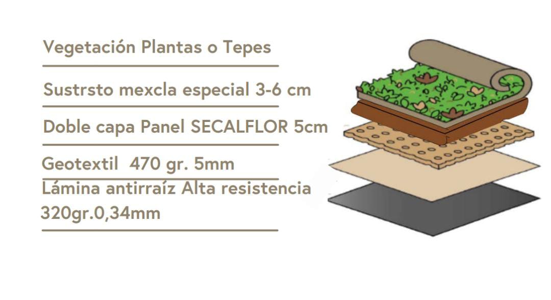 techo verde