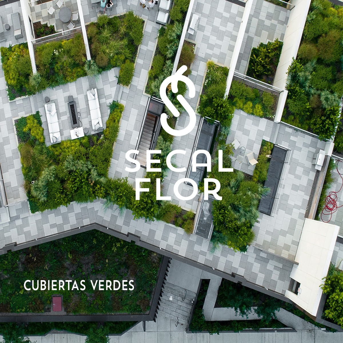 techo verde